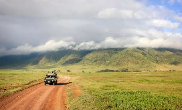 Why you should consider a safari without The Big Five