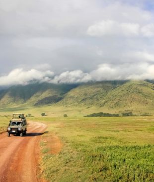 Why you should consider a safari without The Big Five