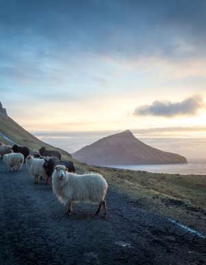 Faroe Islands Landscape