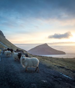 What it’s like to visit the Faroe Islands