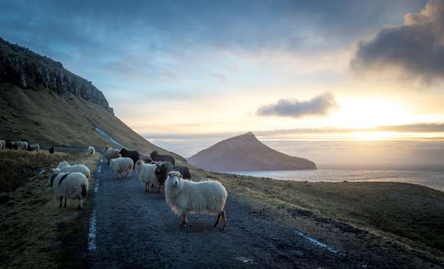 Faroe Islands Landscape