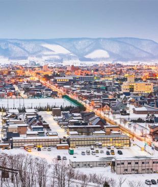 The best ski resorts in Japan for every type of skier
