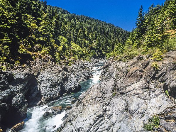 Redwoods State Park