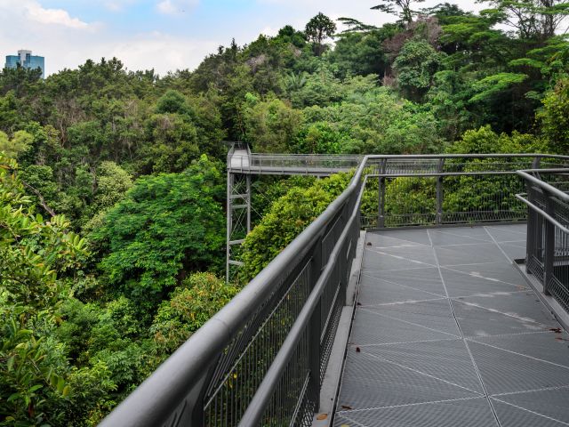 The Southern Ridges trail, Singapore