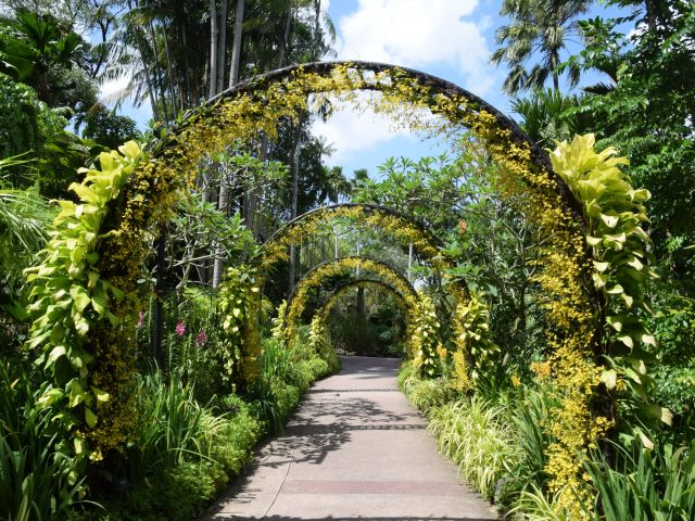 Orchard flower arch at Singapore Botanic Gardens