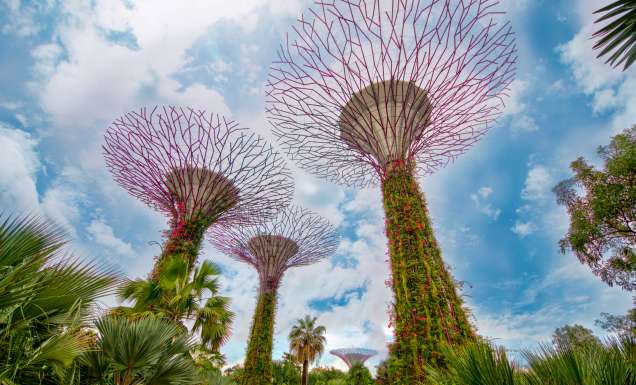 Supertree Grove at Gardens by the Bay, Singapore