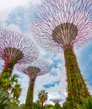<p>The best <em>things to do</em> in <strong>Singapore</strong></p>
