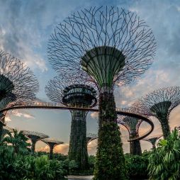 Top 10 things to see and do in Singapore