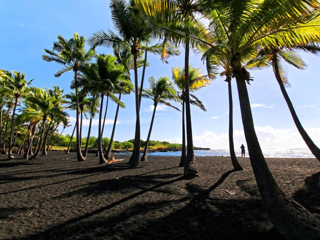 Punalu'u black sand beach on Big Island Hawaii