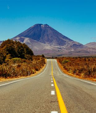 An 8-day road trip through New Zealand’s North Island