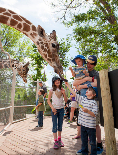 Denver Zoo