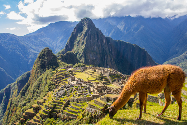 machu picchu