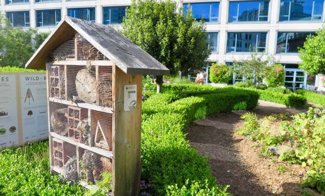 Bee Hotel Vancouver