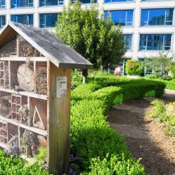Bee Hotel Vancouver