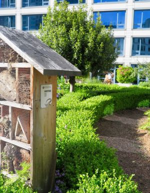 Bee Hotel Vancouver