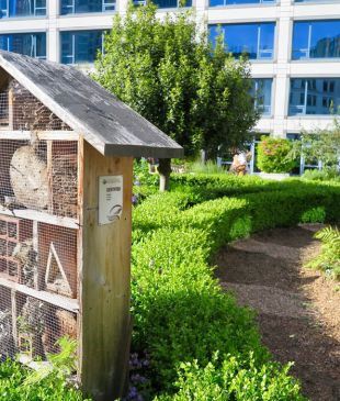Bee Hotels in British Columbia: a Buzzworthy affair