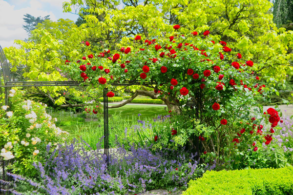 Gardens Bee Hotel Canada