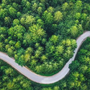 Sustainable Holidays