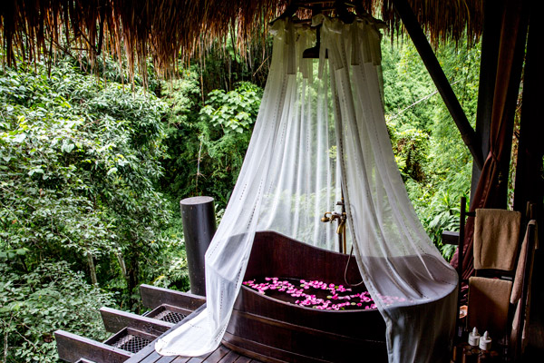 Chiang Rai Lodge