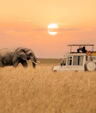 A mesmerising safari through the plains of the Maasai Mara