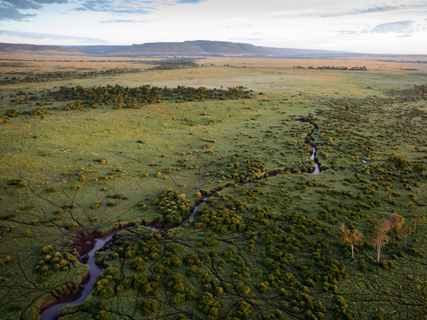 Maasai Mara from above