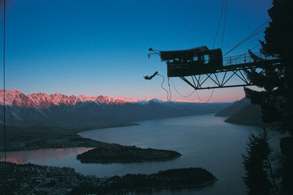 Bungy jump from The Ledge in Queenstown.