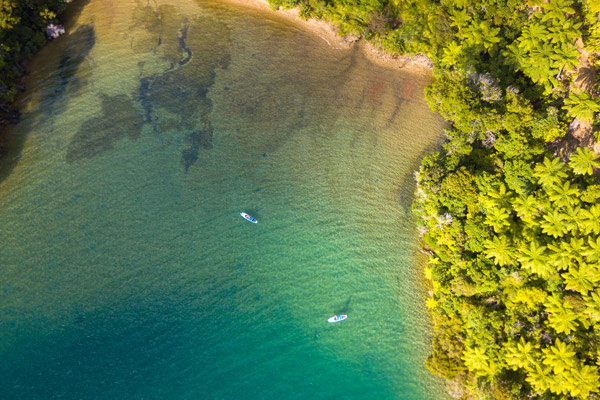 Marlborough Sounds from above
