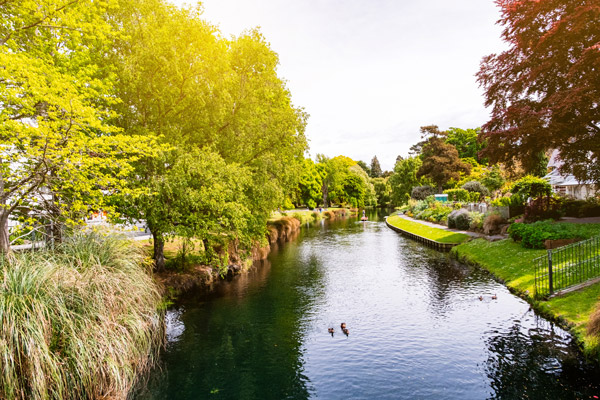 Christchurch Botanical Gardens.