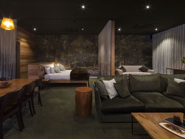 Inside the Cinema Suites Main Apartment