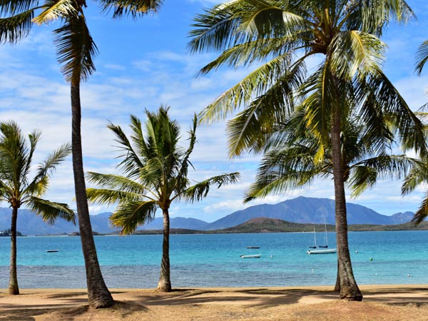 South Pacific islands of New Caledonia.