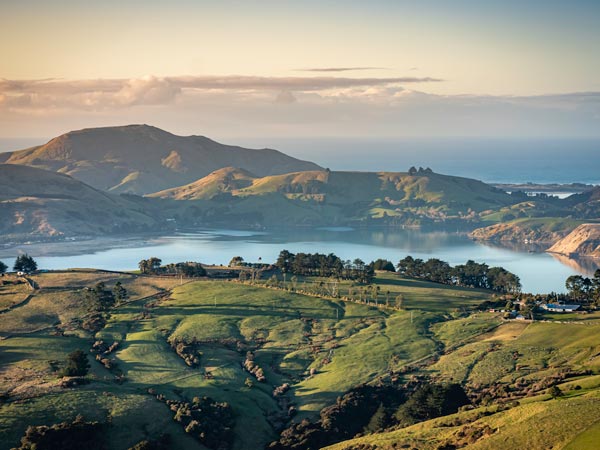 See the rare and endangered inhabitants of Dunedin.