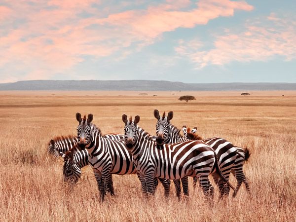 Serengeti National Park