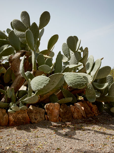 The farming rituals at La Granja have become renowned.