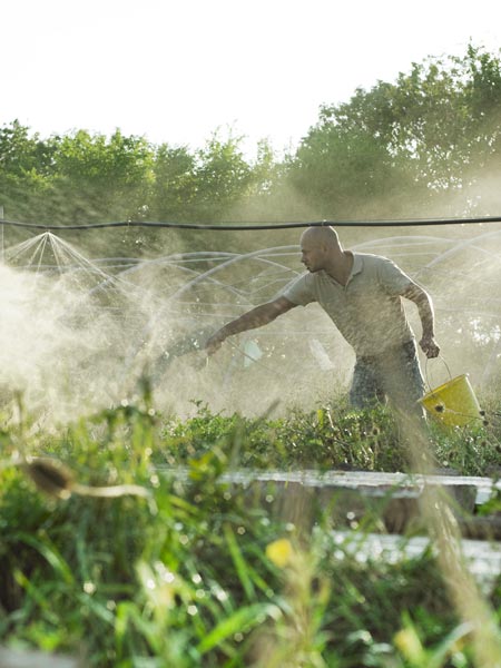 Andreas Gugumuck feeding snails at the Gugmuck Snail Factory. (Image: Philip Horak)