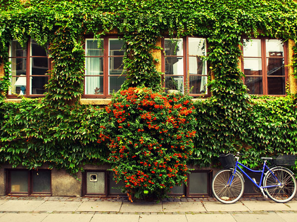 Hire a bike in Copenhagen