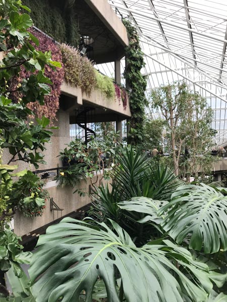 Barbican Conservatory in London