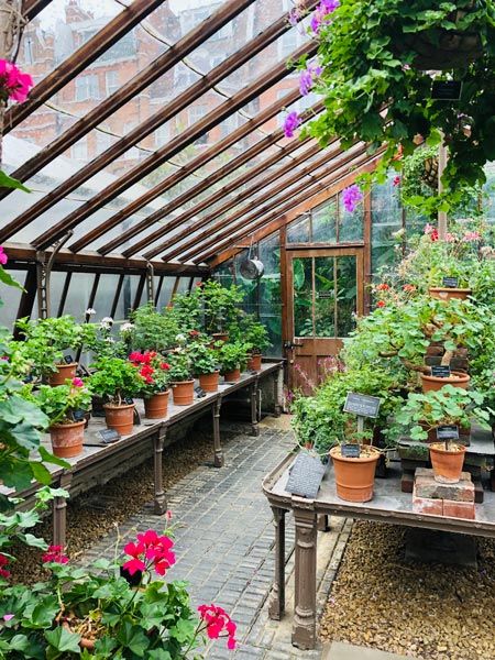 Chelsea Physic Garden is one of England's oldest botanical gardens