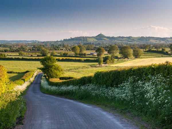 The wetlands of the Somerset Levels