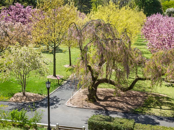 Brooklyn Botanic Gardens