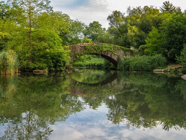 Explore hideaways and paths in Central Park. 