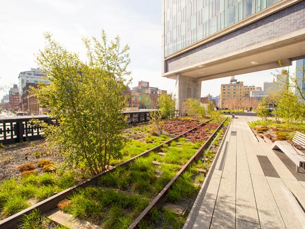 Walk the length of the High Line.
