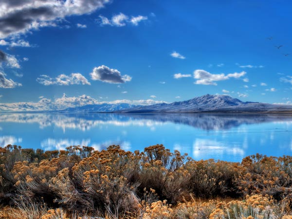 Visiting Antelope Island Utah