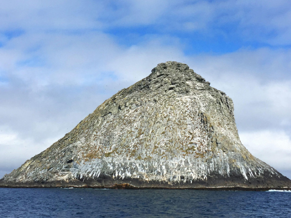 Chatham Islands New Zealand