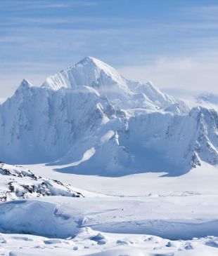 Insider guide to Antarctica
