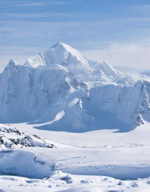 insider guide to Antarctica.