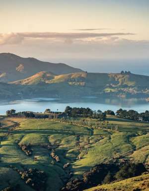 insider guide to New Zealand
