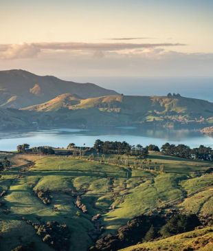 Insider guides to New Zealand