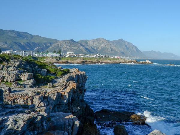 The Cape Whale Coast cliffs