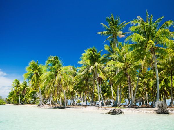 The Islands of Tahiti
