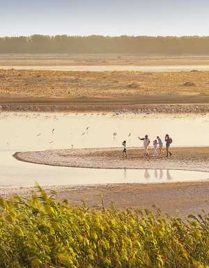 Al Wathba Wetlands, Abu Dhabi